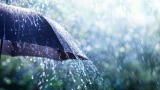 Earn $2000 Daily by Posting Relaxing Rain Videos on YouTube